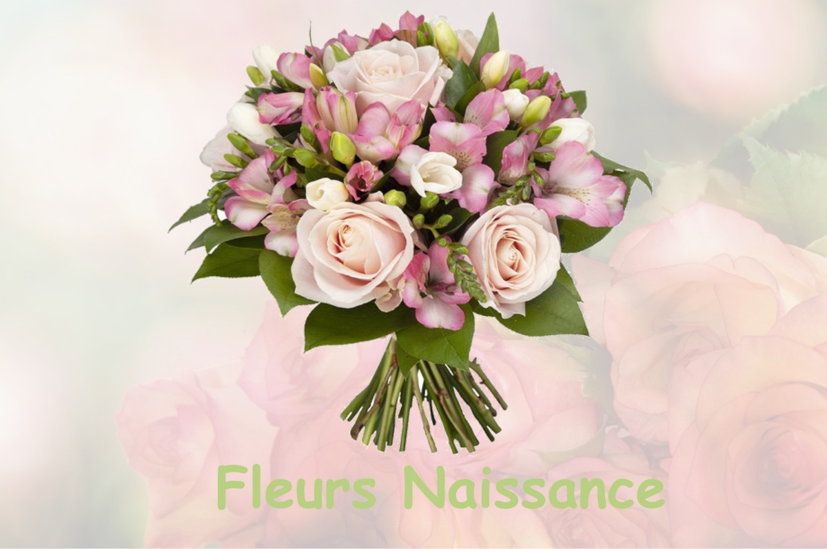 fleurs naissance VENAREY-LES-LAUMES